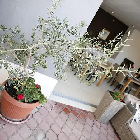 Lorenta Guest house 3*