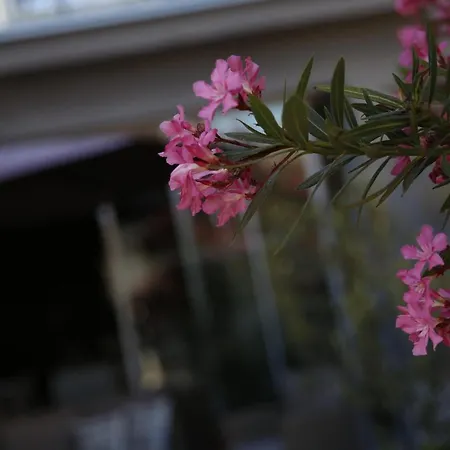 Guest house Lorenta Vodice