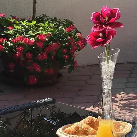 Lorenta Guest house 3*