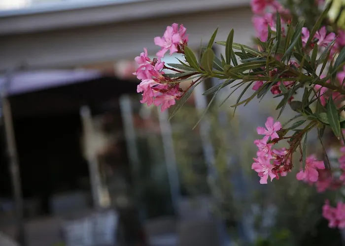 Lorenta Near The ヴォディツェ